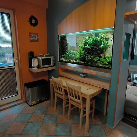 Suk Apartman 24 苏科多尔纳德鲁兹尼奇 外观 照片