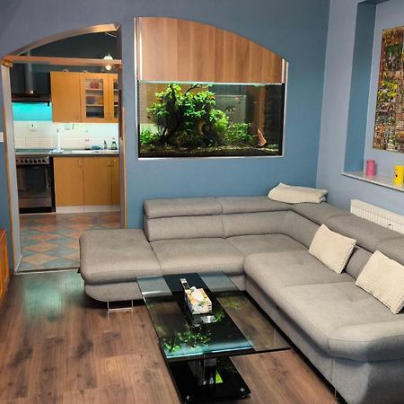 Suk Apartman 24 苏科多尔纳德鲁兹尼奇 外观 照片
